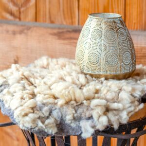 Schoonebeeker ramlam small 25-04