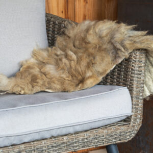 Schoonebeeker wildkleur small 25-06