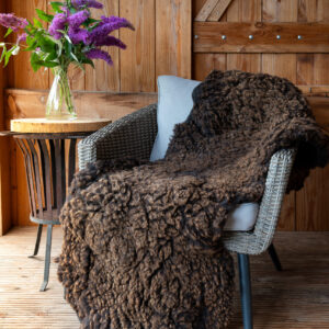 Nederlands Bonteschaap 24-11