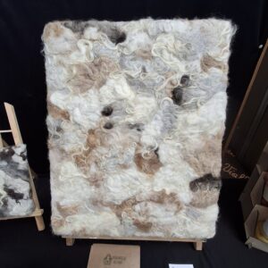 Pastelkleurig lokkendoek.