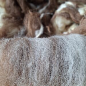 Kaardvlies van Nederlandse bodem